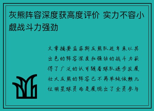 灰熊阵容深度获高度评价 实力不容小觑战斗力强劲